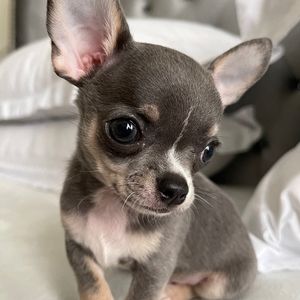 Meet your Posher, Vanessa